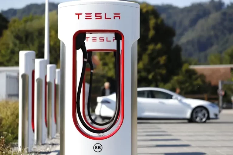 Tesla pierde un pequeño porcentaje de participación del mercado de vehículos eléctricos