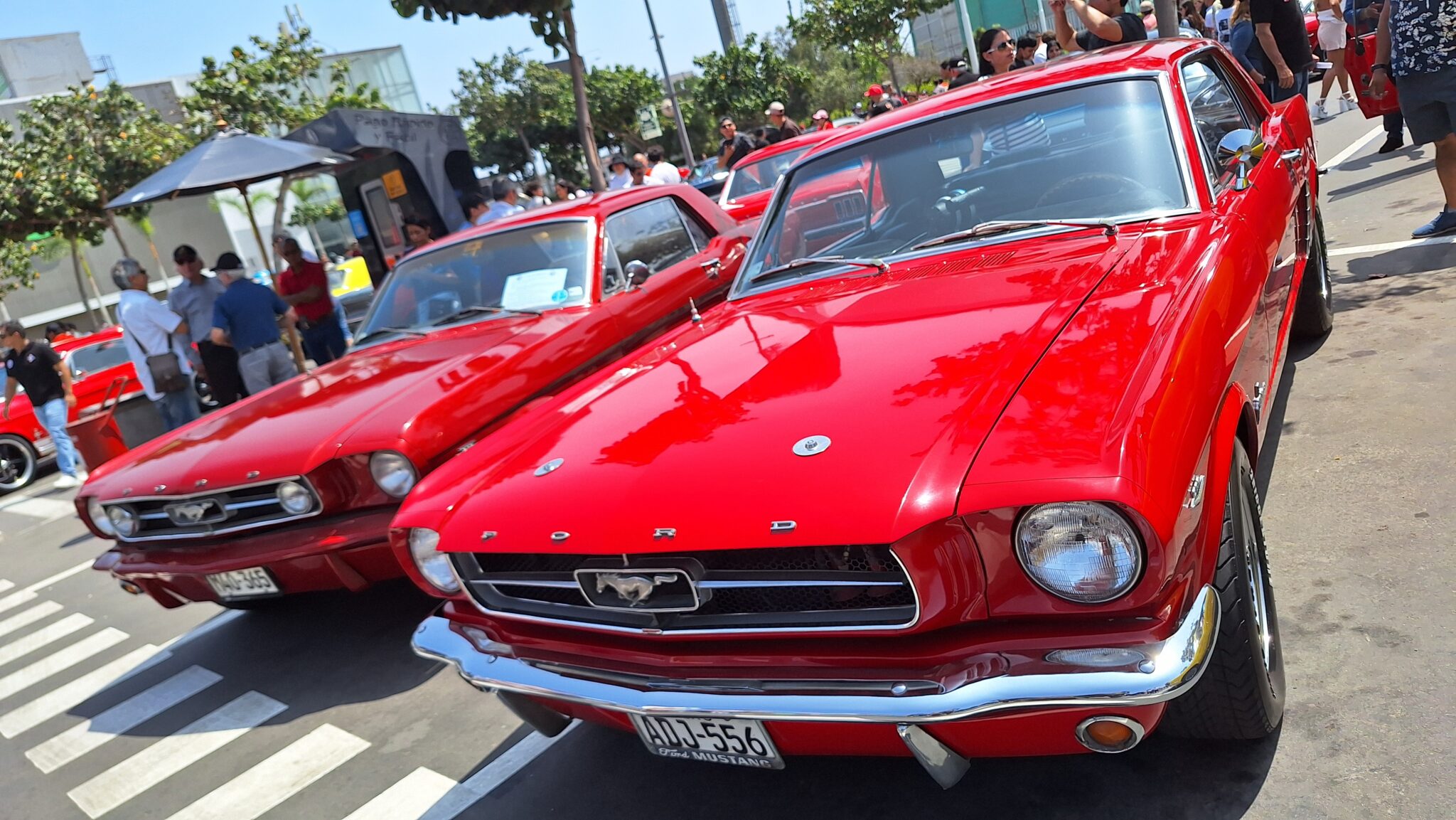 El Mustang Club Perú celebró a lo grande el 60° aniversario del Mustang en el Jockey Plaza