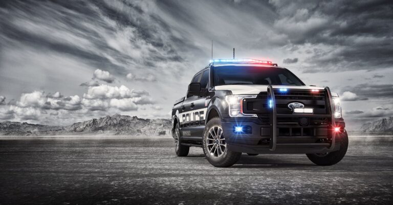 Foto 7 de la galería