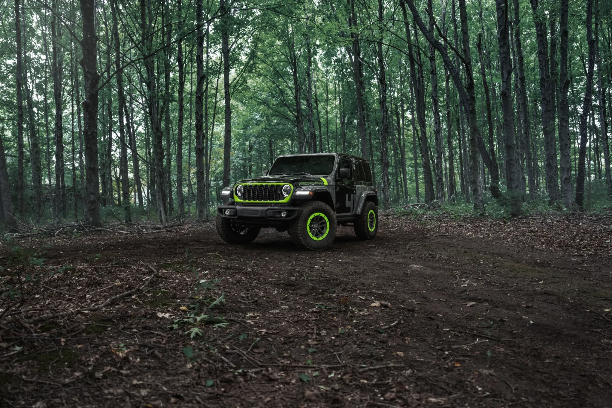 Jeep Wrangler Switchback en un claro del bosque, visto de frente a lo lejos