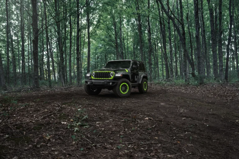 Jeep Wrangler Switchback en un claro del bosque, visto de frente a lo lejos